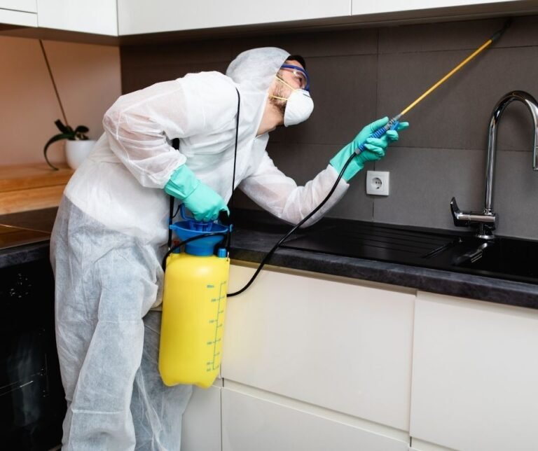 شركة مكافحة حشرات وقوارض بالقاهرة والجيزة