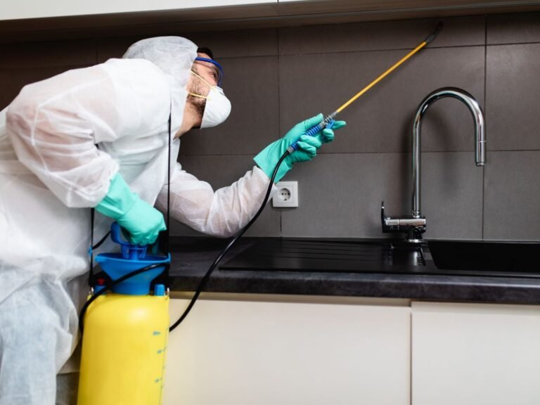 🧴 شركة مكافحة الحشرات والقوارض في القاهرة والجيزة